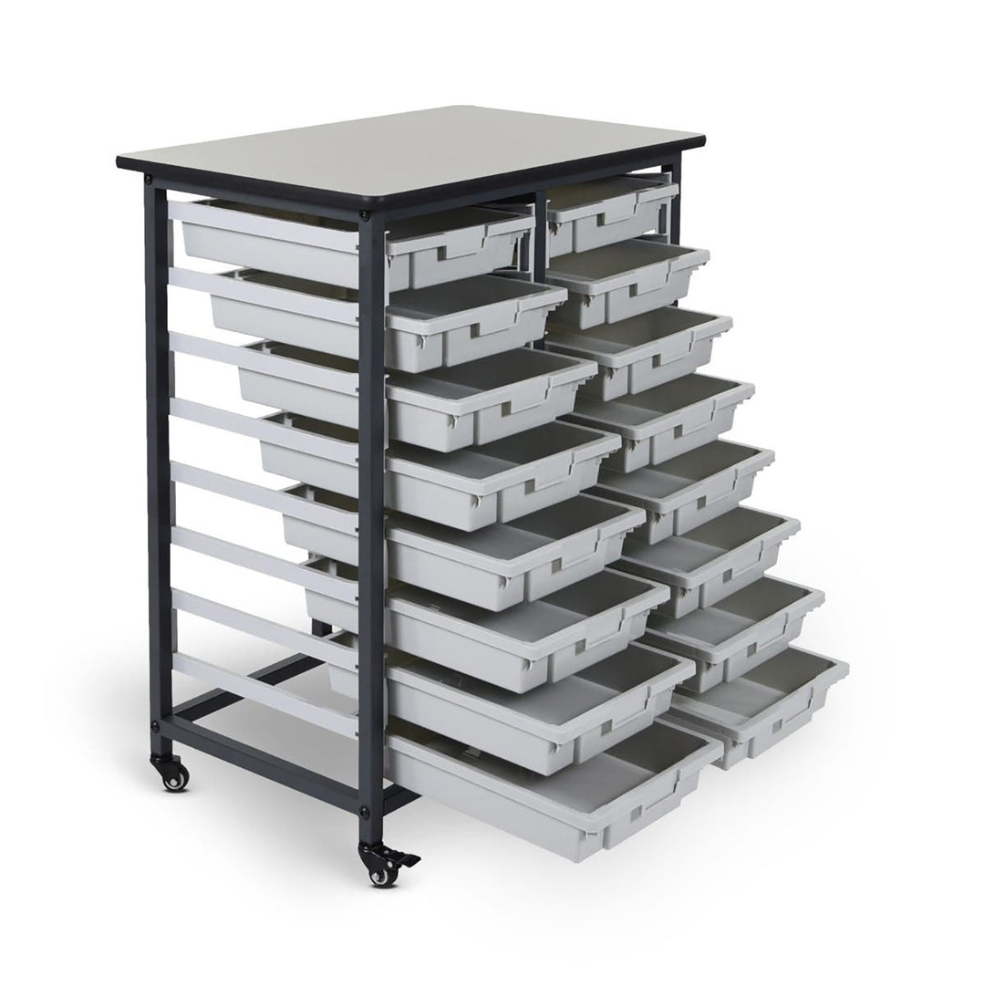 Mobile Bin Storage Unit - Double Row with Small Gray Bins