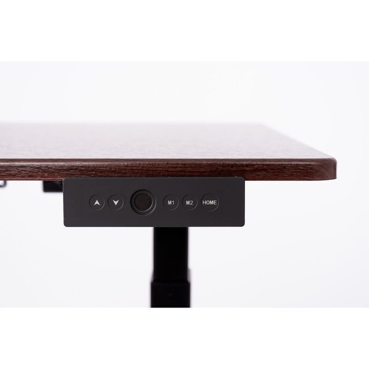 Electric Stand Up Desk