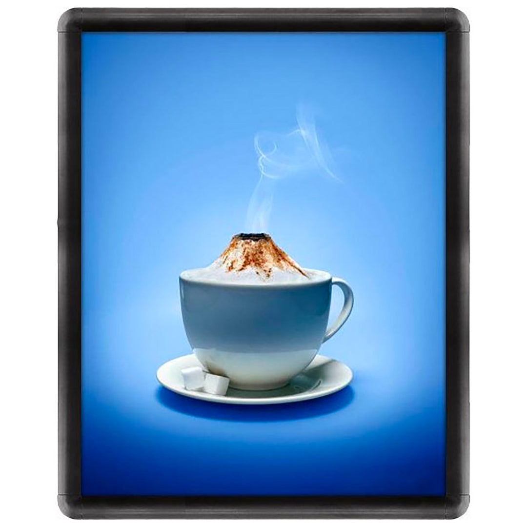 16" x 20" Snap Poster Frame