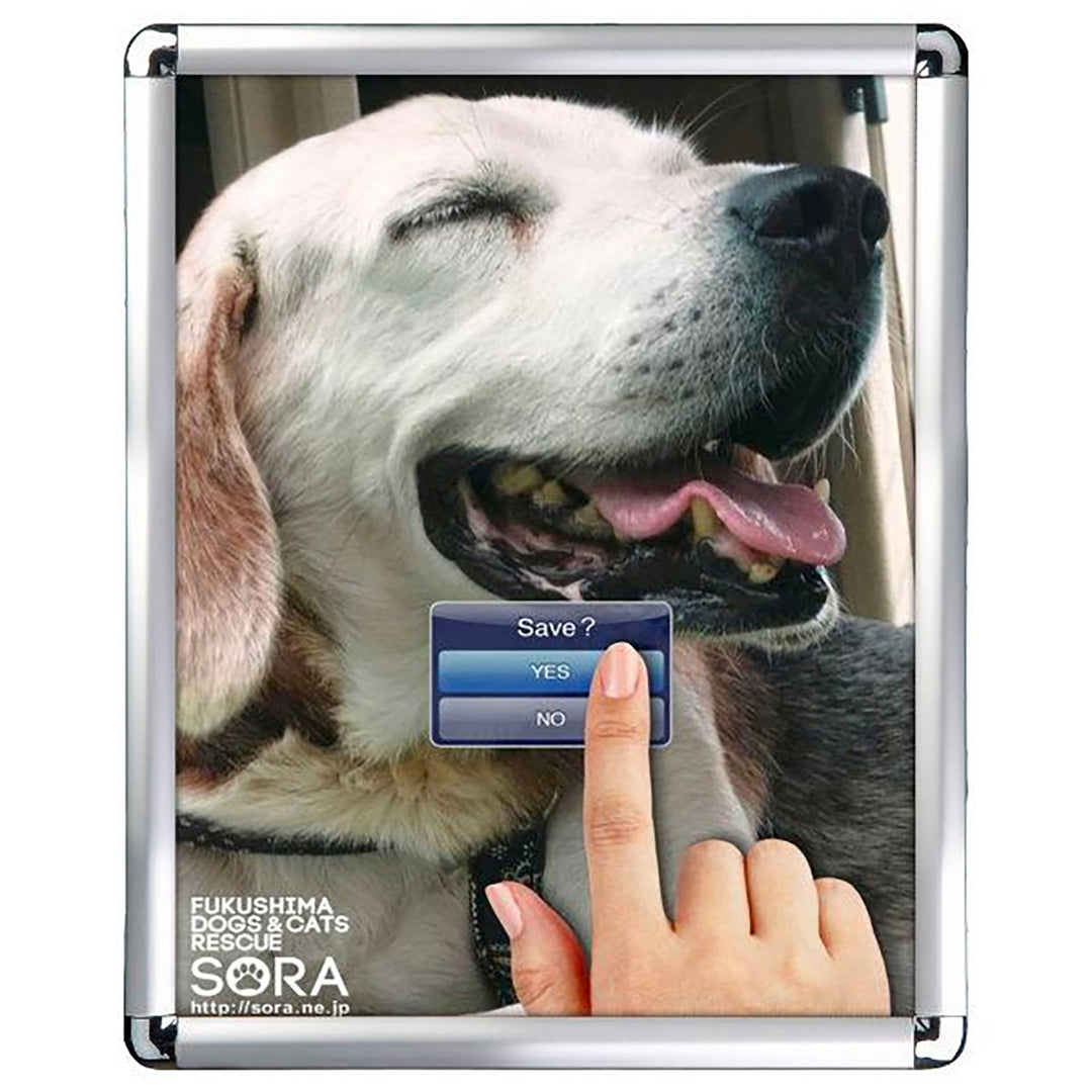 16" x 20" Snap Poster Frame