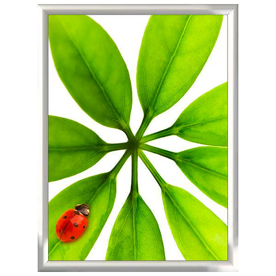 18" x 24" Snap Poster Frame