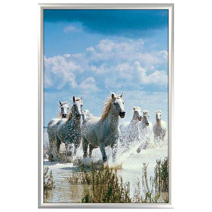24" x 36" Snap Poster Frame