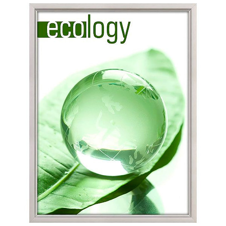 Slide In Poster Frame – Single Sided